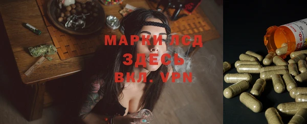 альфа пвп Аркадак