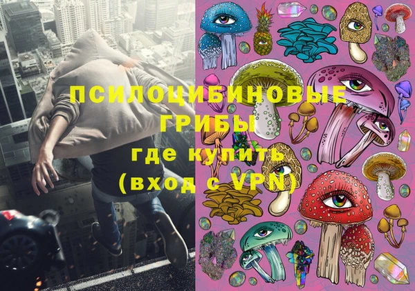 дмт Арсеньев
