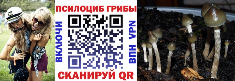 купить наркоту  mega ONION  Галлюциногенные грибы Psilocybe  Кубинка 